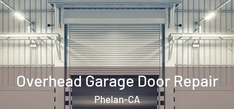  Overhead Garage Door Repair Phelan-CA